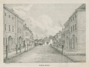 Tamworth - Cole-hill: litografia, bd [1796-1865]