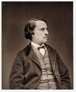 Louis Blanc (1813–82), z „Galerie Contemporaine”, ok. 1874–78 autorstwa Etienne Carjat