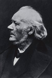 Ilustrator Honore Daumier autorstwa Etienne Carjat