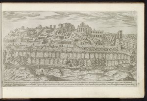 Palatyn i Circus Maximus w Rzymie Starożytne budynki (tytuł serii) I vestigi dell