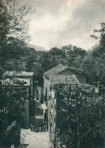 Wąska ulica, Capri, Włochy, 1927 autorstwa Eugen Poppel
