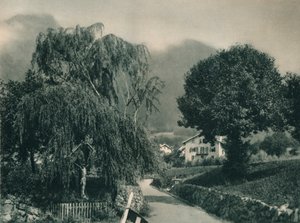 Droga do Zamku Tyrolskiego, Merano, Południowy Tyrol, Włochy, 1927 autorstwa Eugen Poppel