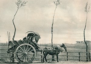 Nosiciel wina w Kampanii, Rzym, Włochy, 1927 autorstwa Eugen Poppel