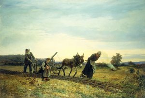 Oranie pól, 1877