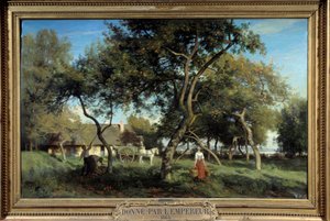 Zbieranie jabłek w Normandii w 1865 r. Obraz Eugene Lavieille (1820-1889)