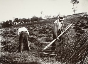 Faucheurs, Somme autorstwa Eugène Atget