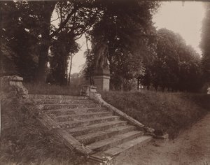 Parc de Sceaux, 1925 (zdjęcie) autorstwa Eugène Atget
