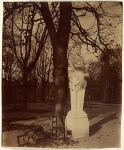 Wersal, zakątek parku autorstwa Eugène Atget