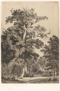 Starożytny dąb w Bois de Boulogne, 1855.