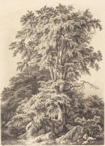 Bukowy Gaj, 1840. autorstwa Eugene Bléry