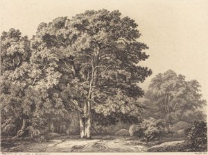 Wejście do lasu, 1840 r. autorstwa Eugene Bléry