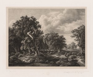 Grupy różnych roślin rysowanych po naturze: nr 7, 1855. autorstwa Eugene Bléry