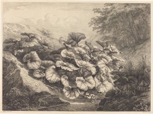 Duża Podbiał, 1843.