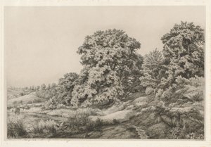 Dęby w pobliżu stawu, 1852 r.