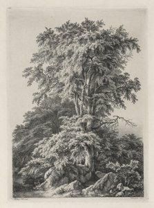 Studia rysowane i grawerowane według natury: plaża, Fontainbleau..., 1840. autorstwa Eugene Bléry