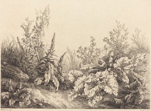 Studium łopianu, 1840. autorstwa Eugene Bléry