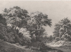 The Edge of the Woods, niedaleko Rambouillet, 1860. autorstwa Eugene Bléry