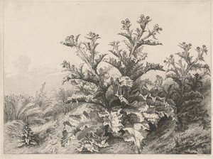 Wielki Oset (Le Grand Chardon) autorstwa Eugene Bléry