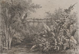 Staw, 1857. autorstwa Eugene Bléry