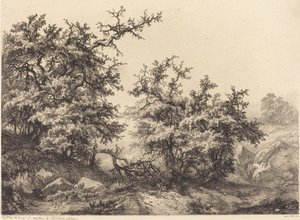 Cierniste krzewy, 1840 r.
