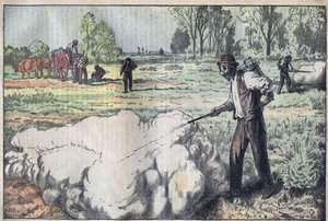 Zniszczenie mulotów (Apodemus) przez gaz duszący w Świcie - rycina Damblansa - le-pelerin z 1923 autorstwa Eugene Damblans