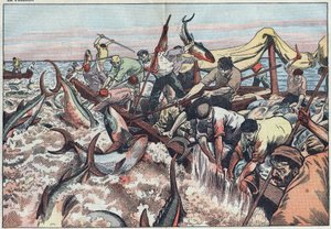 Połowy tuńczyka w Tunezji - Tuńczyk łowi się w ostatnią sieć znaną jako „corpo”, wykluwa się z kłami i uderza w łódź rybacką. Ilustracja Damblans. W „Le Pelerin” z 30 sierpnia