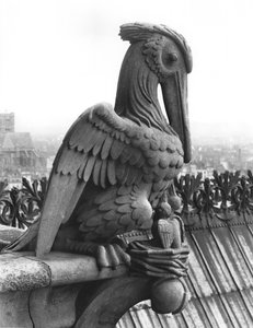 Gargulec pelikan z balustrady Grande Galerie elewacji zachodniej, replika oryginału z XII wieku (kamień) (zdjęcie czarno-białe) autorstwa Eugene Emmanuel Viollet le Duc