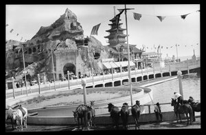 Widok na Coney Island, 1909 (negatyw azotanów)