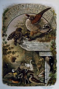 Strona tytułowa Historii naturalnej ptaków gniazdujących w Lombardii, Eugenio Bettoni (1845-1898), rycina Oscar Dressler, Włochy