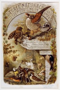 Frontyspis z Historii naturalnej ptaków gniazdujących w Lombardii (Chromolitografia