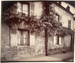 Glicyna (Wisteria), Châtillon autorstwa Eugène Atget
