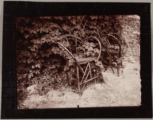 Chmiel autorstwa Eugène Atget