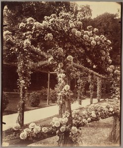 [Jardin de Bagatelle] autorstwa Eugène Atget