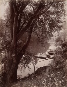 Marna? La Varenne (Marna w La Varenne) autorstwa Eugène Atget