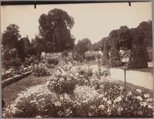 Saint-Cloud autorstwa Eugène Atget