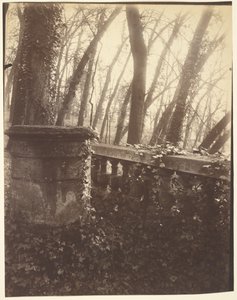 Park Saint-Cloud, Paryż autorstwa Eugène Atget