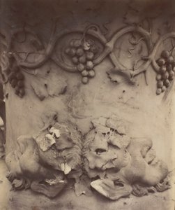 Wersal, szczegół wazonu, 1906. autorstwa Eugène Atget