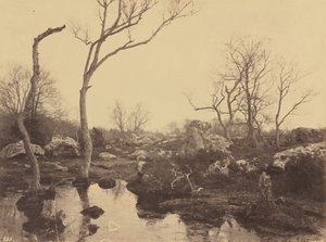 Belle Croix, ok. 1858 r. (zdjęcie) autorstwa Eugène Cuvelier