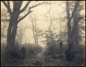 Fontainebleau. Las w Barbizon, ok. 1860 r.
