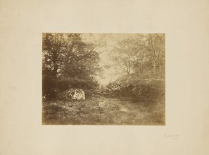 [Studium krajobrazu] autorstwa Eugène Cuvelier