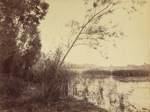 Marais de Fampoux, początek lat 60. XIX wieku.