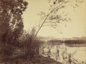 Marais de Fampoux, początek lat sześćdziesiątych XIX wieku (zdjęcie) autorstwa Eugène Cuvelier