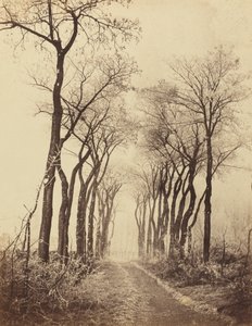 Droga i drzewa z szronem, 1860.