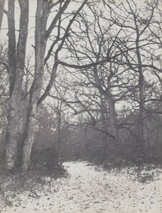 Droga w lesie, 1860-1863.