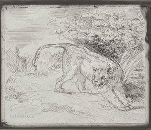 Uwięziony tygrys autorstwa Eugène Delacroix
