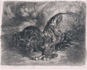 Dziki koń powalony przez tygrysa autorstwa Ferdinand Victor Eugene Delacroix