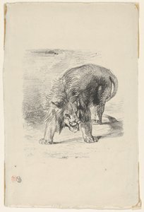 Lew stojący, 1833., 1833. autorstwa Eugène Delacroix