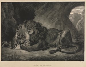 Lew z gór Atlas autorstwa Eugène Delacroix