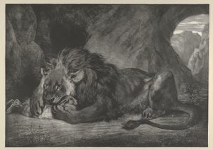 Lew gór Atlas, 1829-30., 1829-30. autorstwa Eugène Delacroix