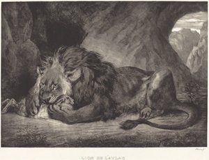 Lew z gór Atlas Lew z Atlasu, 1829. autorstwa Eugène Delacroix